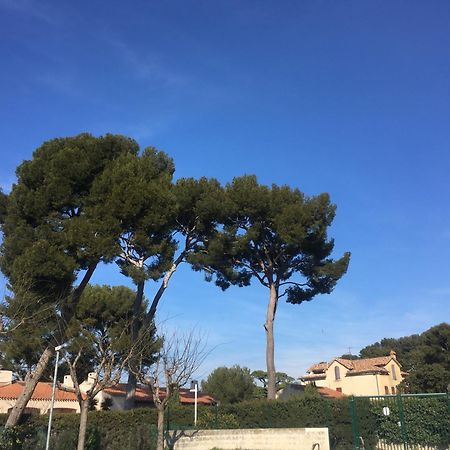 Studio Cosy Proche Mer Saint-Cyr-sur-Mer Exterior foto