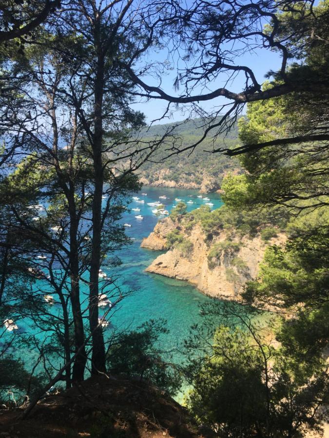 Studio Cosy Proche Mer Saint-Cyr-sur-Mer Exterior foto