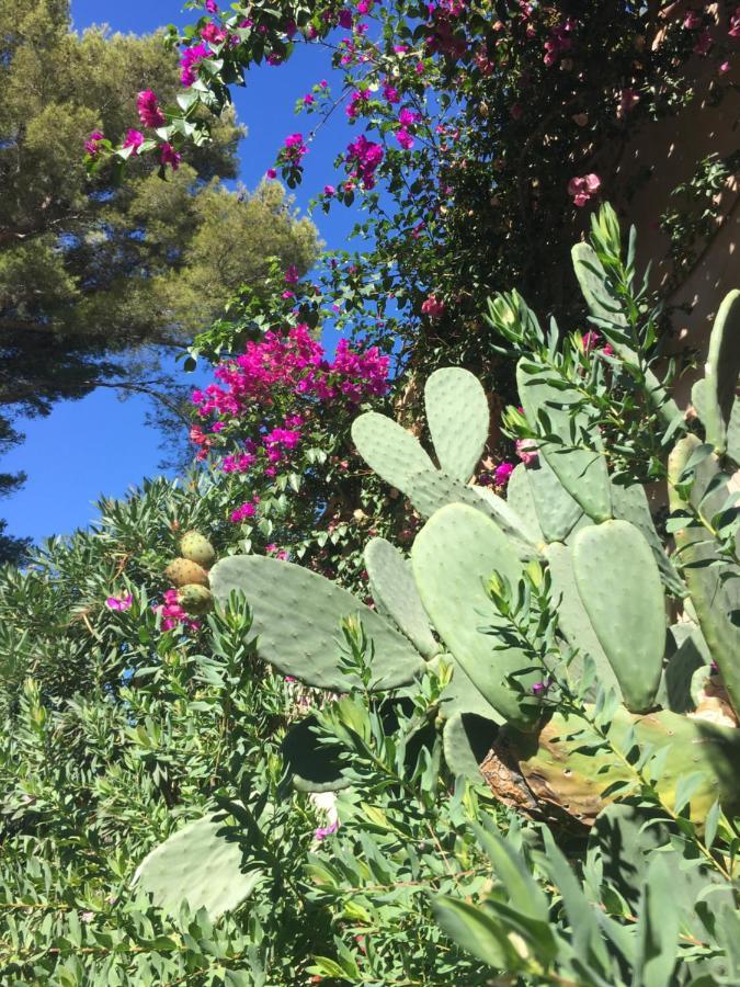 Studio Cosy Proche Mer Saint-Cyr-sur-Mer Exterior foto