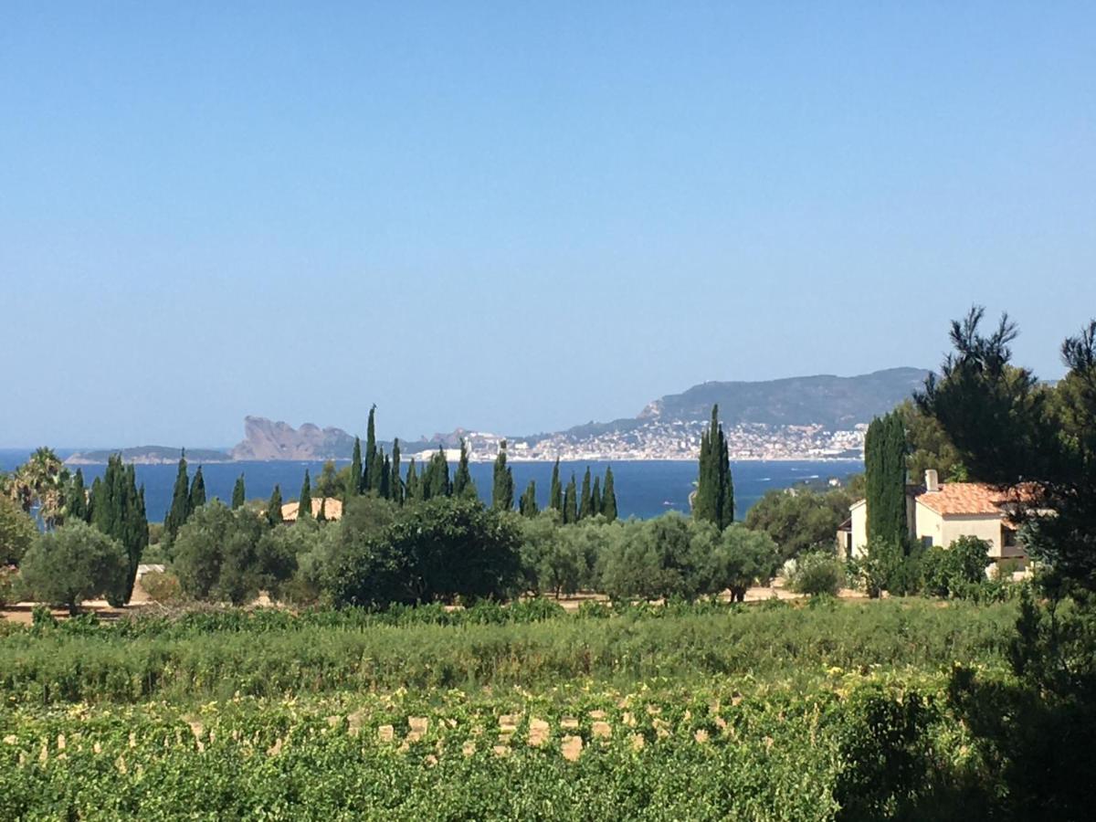 Studio Cosy Proche Mer Saint-Cyr-sur-Mer Exterior foto