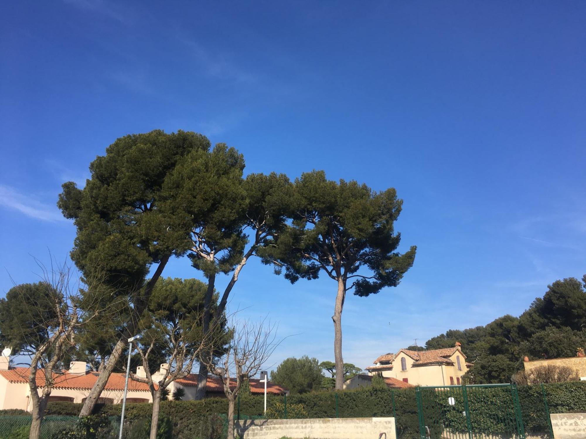 Studio Cosy Proche Mer Saint-Cyr-sur-Mer Exterior foto